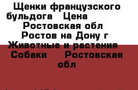 Щенки французского бульдога › Цена ­ 25 000 - Ростовская обл., Ростов-на-Дону г. Животные и растения » Собаки   . Ростовская обл.